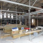 Week 21 - internal birdcage scaffold