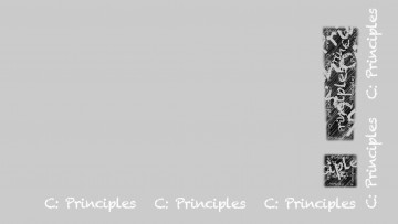 part-C-Principles